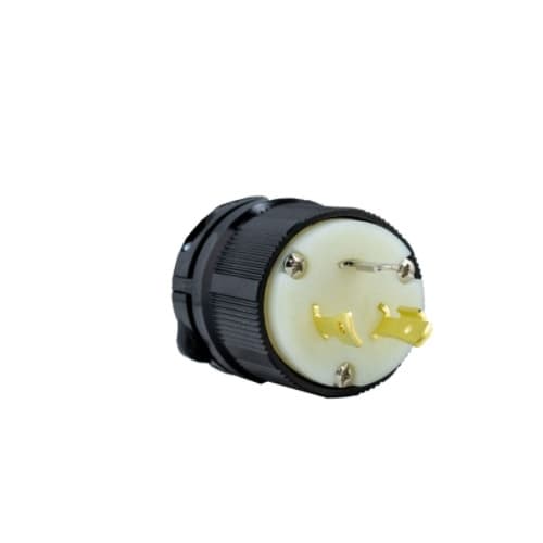2311 Perma-Spec Locking Plug, NEMA L5-20, 125V