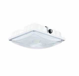 ESL Vision 60W LED Canopy Light, 7861 lm, 120V-277V, 4000K, White