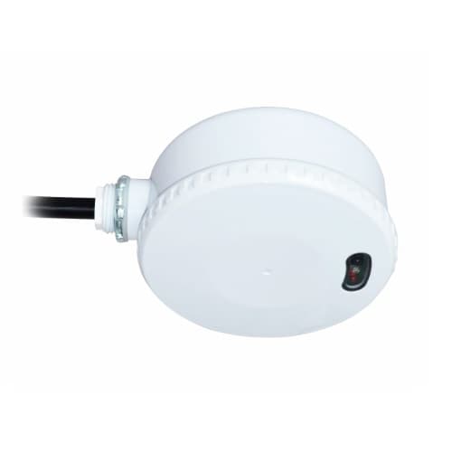 Microwave Occupancy Sensor for High Bay, Top Wire, Up to 2155 Sq Ft, 0-10V Dim, White