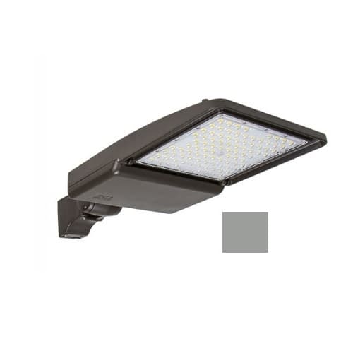 ESL Vision 110W LED Shoebox Area Light w/ Direct Arm Mount, 0-10V Dim, 15780 lm, 3000K, Grey