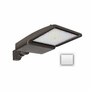 110W LED Shoebox Light w/ 5-in Round Pole, 0-10V Dim, 277-528V, 15780 lm, 3000K, White
