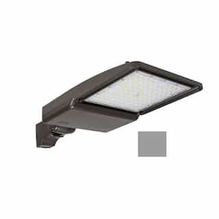 110W LED Shoebox Area Light w/ Direct Arm Mount, 0-10V Dim, 17487 lm, 5000K, Grey