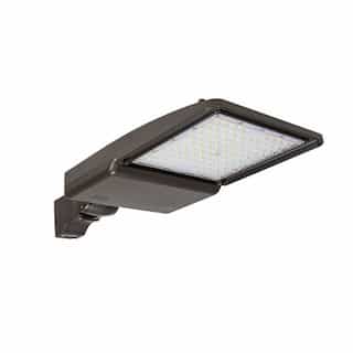 110W LED Shoebox Light w/ Direct Arm Mount, 0-10V Dim, 277-528V, 17487lm, 5000K, Bronze