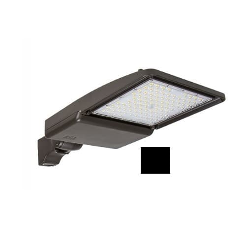 200W LED Shoebox Light w/ Yoke Mount, 0-10V Dim, 247-480V, 32712 lm, 5000K, Black
