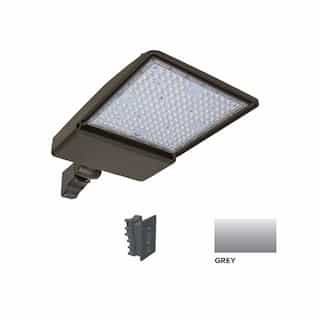 250W LED Shoebox Area Light w/ Direct Arm Mount, 0-10V Dim, 38043 lm, 3000K, Grey