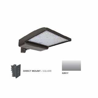 250W LED Shoebox Area Light w/ Direct Arm Mount, 0-10V Dim, 480V, 38043 lm, 3000K, Grey
