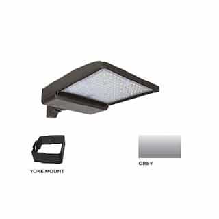250W LED Shoebox Area Light w/ Yoke Mount, 0-10V Dim, 480V, 38043 lm, 3000K, Grey