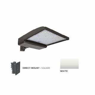 250W LED Shoebox Area Light w/ Direct Arm Mount, 0-10V Dim, 480V, 38043 lm, 3000K, White