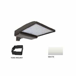 250W LED Shoebox Area Light w/ Yoke Mount, 0-10V Dim, 480V, 38043 lm, 3000K, White