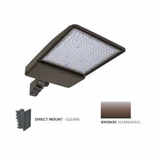 ESL Vision 250W LED Shoebox Area Light w/ Direct Arm Mount, 0-10V Dim, 40093 lm, 4000K, Bronze