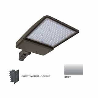 250W LED Shoebox Area Light w/ Direct Arm Mount, 0-10V Dim, 40093 lm, 4000K, Grey