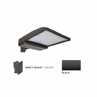 250W LED Shoebox Area Light w/ Direct Arm Mount, 0-10V Dim, 480V, 40093 lm, 4000K, Black