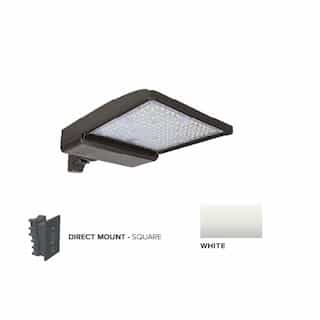 250W LED Shoebox Area Light w/ Direct Arm Mount, 0-10V Dim, 480V, 40093 lm, 4000K, White