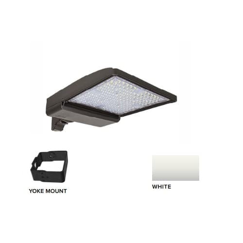 250W LED Shoebox Area Light w/ Yoke Mount, 0-10V Dim, 480V, 40093 lm, 4000K, White