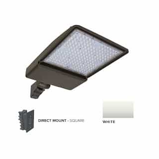 250W LED Shoebox Area Light w/ Direct Arm Mount, 0-10V Dim, 40093 lm, 4000K, White