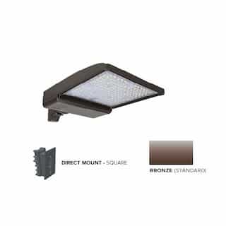 ESL Vision 250W LED Shoebox Area Light w/ Direct Arm Mount, 0-10V Dim, 42159 lm, 5000K, Bronze