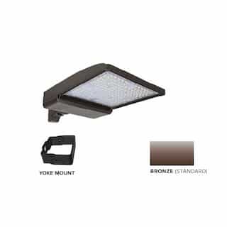 ESL Vision 250W LED Shoebox Area Light w/ Yoke Mount, 0-10V Dim, 42159 lm, 5000K, Bronze