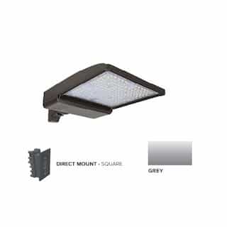 250W LED Shoebox Area Light w/ Direct Arm Mount, 0-10V Dim, 42159 lm, 5000K, Grey