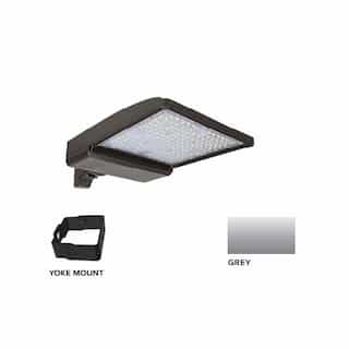 250W LED Shoebox Area Light w/ Yoke Mount, 0-10V Dim, 42159 lm, 5000K, Grey