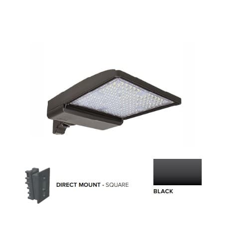 250W LED Shoebox Area Light w/ Direct Arm Mount, 0-10V Dim, 480V, 42159 lm, 5000K, Black
