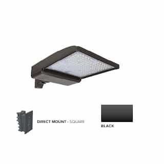 ESL Vision 250W LED Shoebox Area Light w/ Direct Arm Mount, 0-10V Dim, 480V, 42159 lm, 5000K, Black