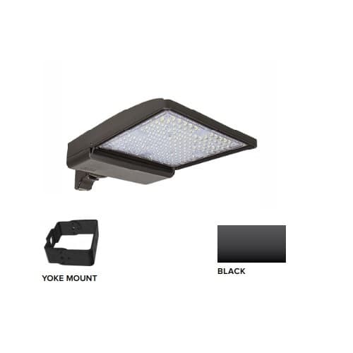 250W LED Shoebox Area Light w/ Yoke Mount, 0-10V Dim, 480V, 42159 lm, 5000K, Black