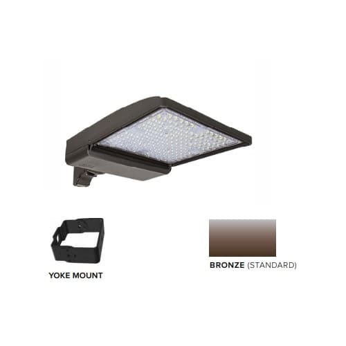 250W LED Shoebox Area Light w/ Yoke Mount, 0-10V Dim, 480V, 42159 lm, 5000K, Bronze