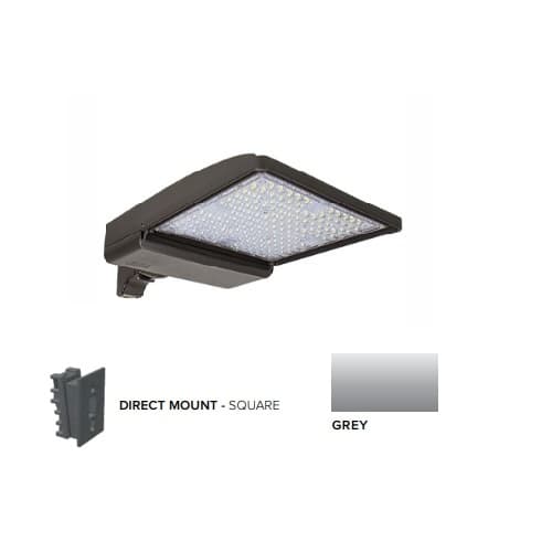 250W LED Shoebox Area Light w/ Direct Arm Mount, 0-10V Dim, 480V, 42159 lm, 5000K, Grey
