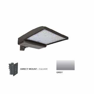 ESL Vision 250W LED Shoebox Area Light w/ Direct Arm Mount, 0-10V Dim, 480V, 42159 lm, 5000K, Grey