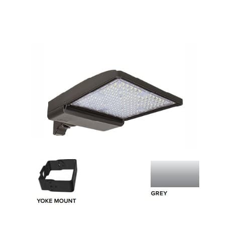 250W LED Shoebox Area Light w/ Yoke Mount, 0-10V Dim, 480V, 42159 lm, 5000K, Grey