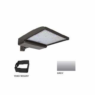 ESL Vision 250W LED Shoebox Area Light w/ Yoke Mount, 0-10V Dim, 480V, 42159 lm, 5000K, Grey