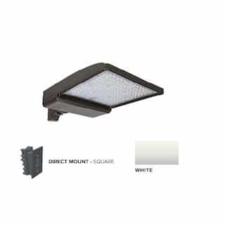 250W LED Shoebox Area Light w/ Direct Arm Mount, 0-10V Dim, 480V, 42159 lm, 5000K, White