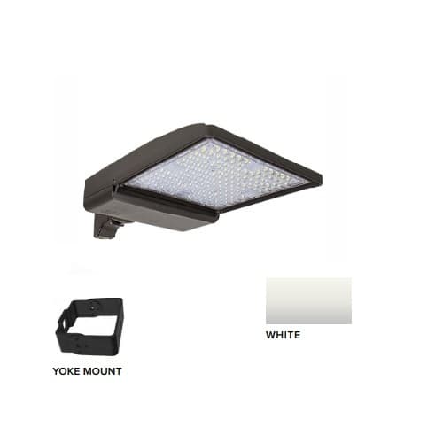 250W LED Shoebox Area Light w/ Yoke Mount, 0-10V Dim, 480V, 42159 lm, 5000K, White