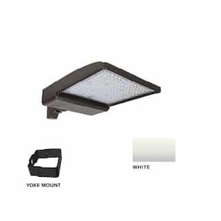 ESL Vision 250W LED Shoebox Area Light w/ Yoke Mount, 0-10V Dim, 480V, 42159 lm, 5000K, White
