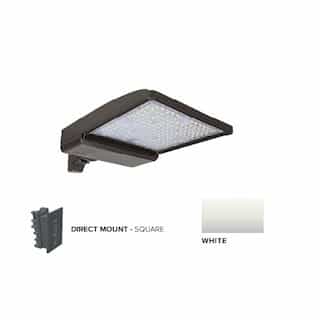 250W LED Shoebox Area Light w/ Direct Arm Mount, 0-10V Dim, 42159 lm, 5000K, White
