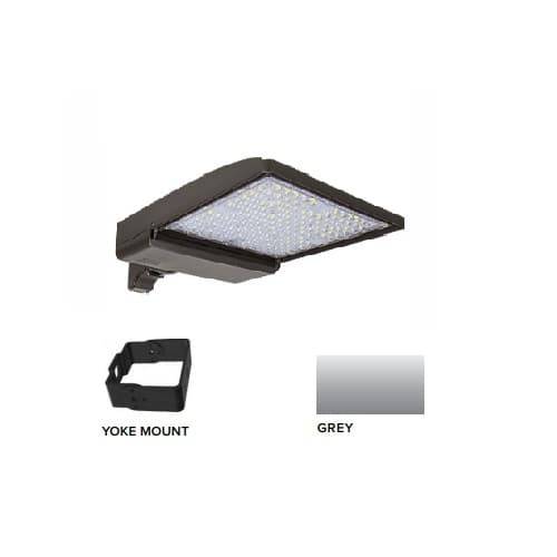 320W LED Shoebox Area Light w/ Yoke Mount, 0-10V Dim, 43894 lm, 3000K, Grey