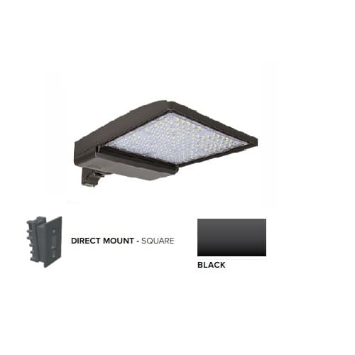ESL Vision 320W LED Shoebox Area Light w/ Direct Arm Mount, 480V, 0-10V Dim, 43894 lm, 3000K, Black