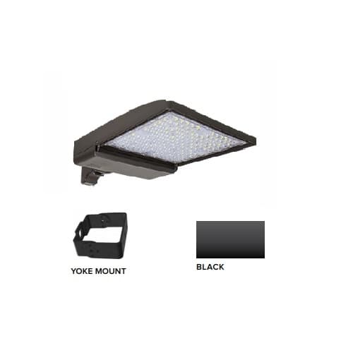 ESL Vision 320W LED Shoebox Area Light w/ Yoke Mount, 480V, 0-10V Dim, 48643 lm, 5000K, Black