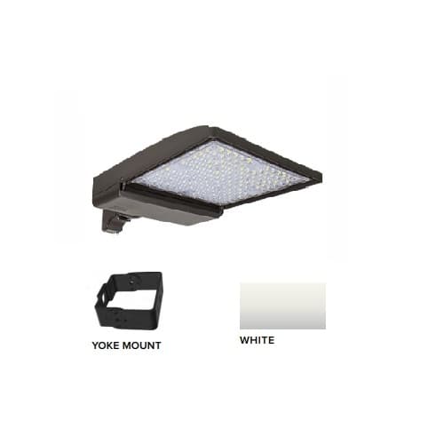 ESL Vision 320W LED Shoebox Area Light w/ Yoke Mount, 480V, 0-10V Dim, 48643 lm, 5000K, White
