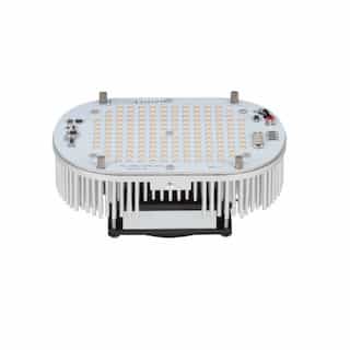 105W Multi-Use LED Retrofit Kit, Turtle Friendly, 0-10V Dimmable, 8600 lm, 347V-480V