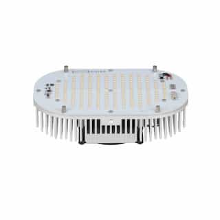 150W Multi-Use LED Retrofit Kit, Turtle Friendly, 0-10V Dimmable, 12150 lm, 347V-480V