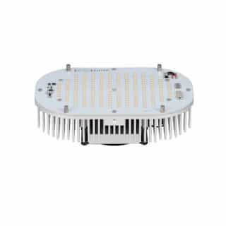 200W Multi-Use LED Retrofit Kit, Turtle Friendly, 0-10V Dimmable, 16000 lm, 120V-277V