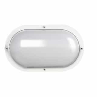 10-in 9W Oval LED Bulk Head Light, 800 lm, 120V-277V, 3000K, White