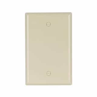 Eaton Wiring 1-Gang Thermoset Mid-Size Blank Wallplate, Ivory