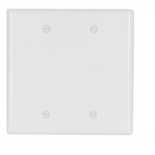 Eaton Wiring 2-Gang Mid-Size Blank Wallplate, White