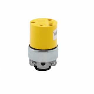 20 Amp Armored Cable Connector, 2-Pole, Yellow