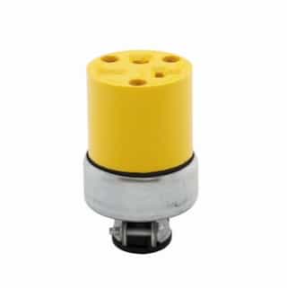 20 Amp Electrical Connector, Armored, NEMA 6-20R, Yellow