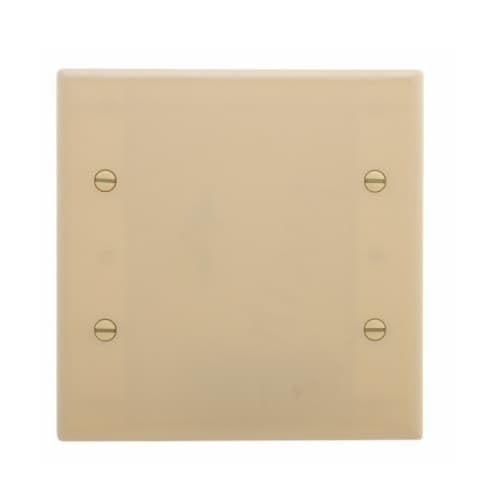Eaton Wiring 2-Gang Blank Wall Plate, Standard Size, Thermoset, Ivory