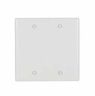 2-Gang Blank Wall Plate, Standard Size, Thermoset, White