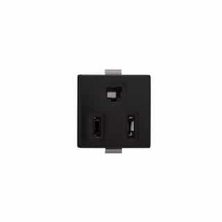 15 Amp Snap-In Plug w/ Plastic Clips, Parallel Quick Connect, 2-Pole, 3-Wire, Black